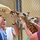 Via the Maryland Zoo.